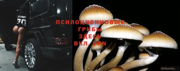 бутират Арсеньев