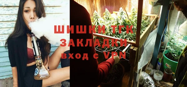 молекула духа Аркадак